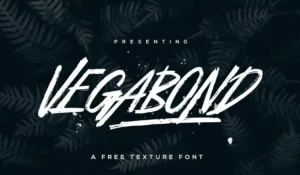 Vegabond Brush Font