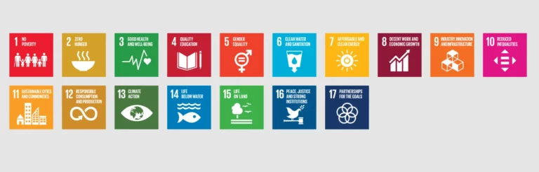 UN Sustainable Development Goals Pictograms Figma