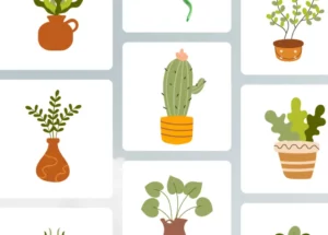 15 Simple Houseplant Illustrations Figma